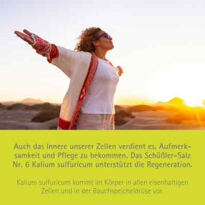Biochemie Pflüger 6 Kalium Sulfur D6 Tabletten bei apo-discounter.de bestellen