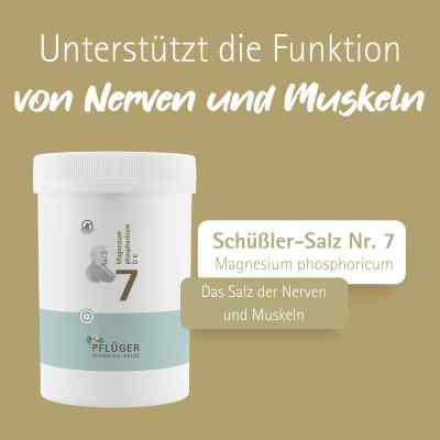 Biochemie Pflüger 7 Magnesium phosphoricum D6 Tabletten bei apo-discounter.de bestellen