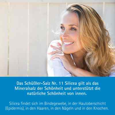 Biochemie Pflüger 11 Silicea D12 Tabletten bei apo-discounter.de bestellen