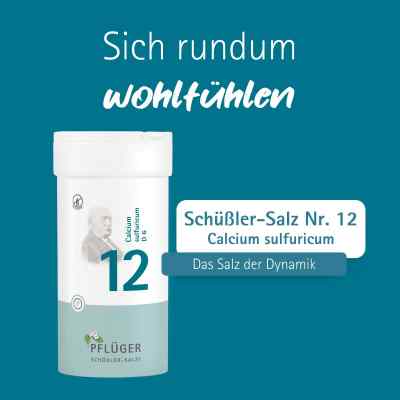 Biochemie Pflüger 12 Calcium Sulfur D6 Tabletten bei apo-discounter.de bestellen