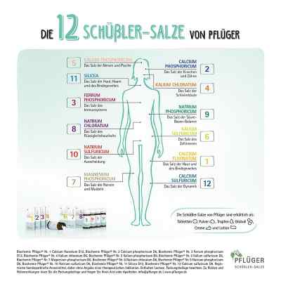 Biochemie Pflüger 14 Kalium bromat.D 6 Tabletten bei apo-discounter.de bestellen
