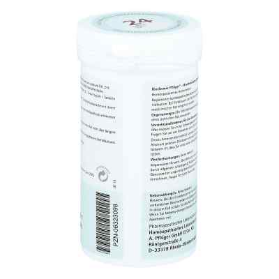 Biochemie Pflüger 24 Arsenum jodatum D6 Tabletten bei apo-discounter.de bestellen