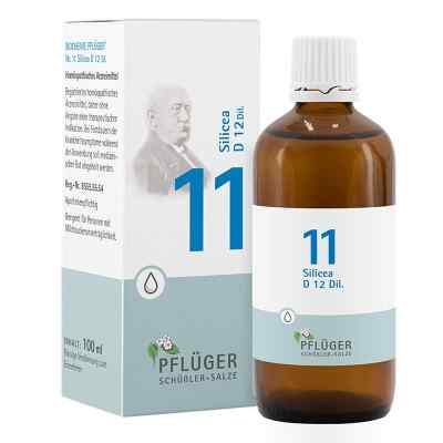 Biochemie Pflüger 11 Silicea D12 Tropfen bei apo-discounter.de bestellen