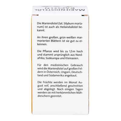 Mariendistel öl 500 mg Kapseln bei apo-discounter.de bestellen