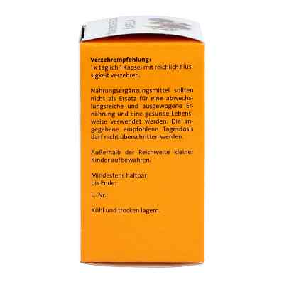 Mariendistel öl 500 mg Kapseln bei apo-discounter.de bestellen