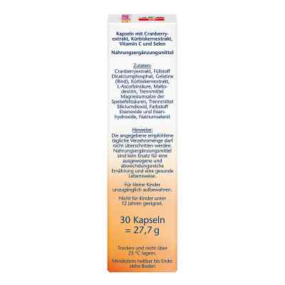 Doppelherz Cranberry + Kürbis Kapseln bei apo-discounter.de bestellen