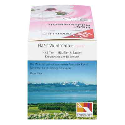 H&s Hibiskusblüte Filterbeutel bei apo-discounter.de bestellen