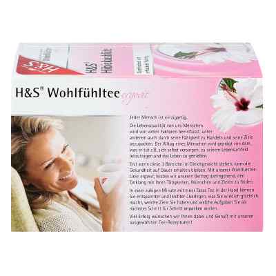 H&s Hibiskusblüte Filterbeutel bei apo-discounter.de bestellen