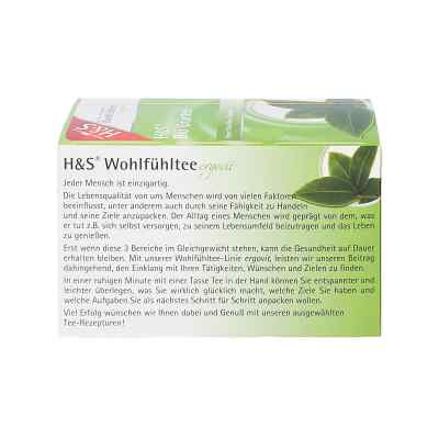 H&s Bio Grüntee Filterbeutel bei apo-discounter.de bestellen