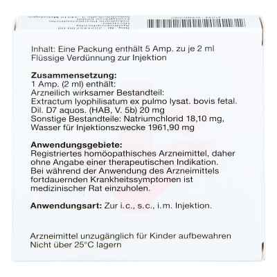 Neydil Nummer 2 D7 Ampullen bei apo-discounter.de bestellen