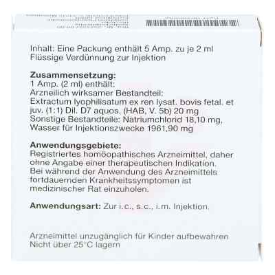 Neydil Nummer 2 7 D7 Ampullen bei apo-discounter.de bestellen