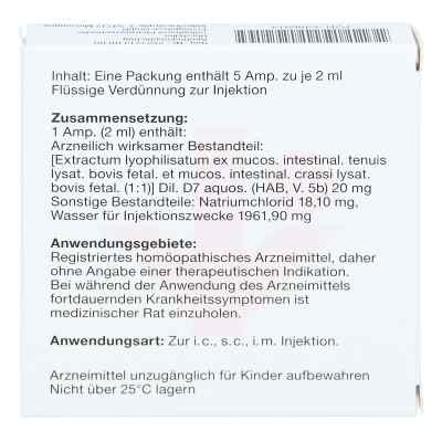 Neydig Nummer 4 7 D7 Ampullen bei apo-discounter.de bestellen