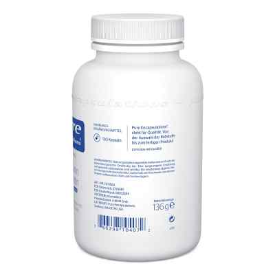 Pure Encapsulations Glucosamin+chondr.+msm Kapseln bei apo-discounter.de bestellen
