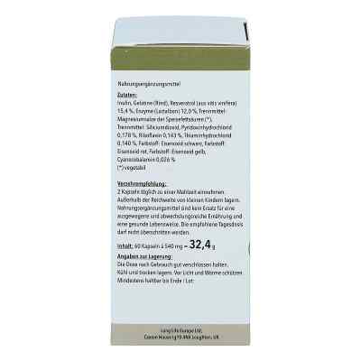 Vektor Resveratrol Kapseln bei apo-discounter.de bestellen
