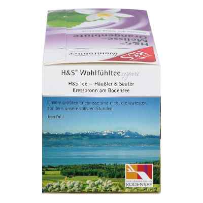 H&s Melisse Orangenblüte Filterbeutel bei apo-discounter.de bestellen
