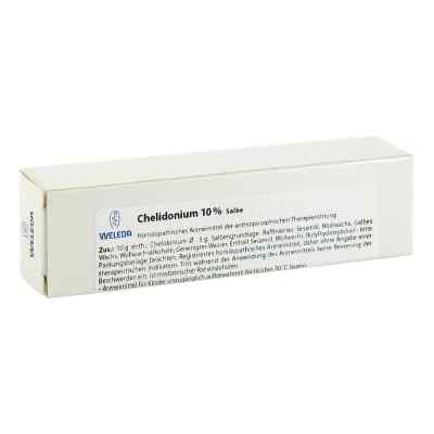 Chelidonium 10% Salbe bei apo-discounter.de bestellen