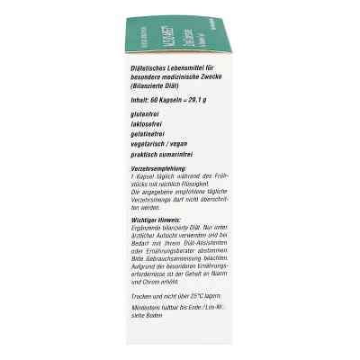 Alsidiabet Zimt Catechine für Diab.Typ Ii Kapseln bei apo-discounter.de bestellen