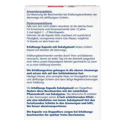 Doppelherz aktiv Erkältungskapseln bei apo-discounter.de bestellen