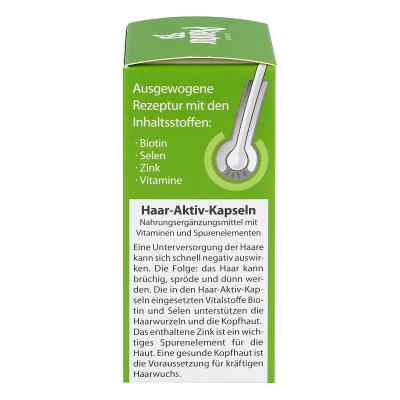 Plantur 39 Haar Aktiv Kapseln bei apo-discounter.de bestellen