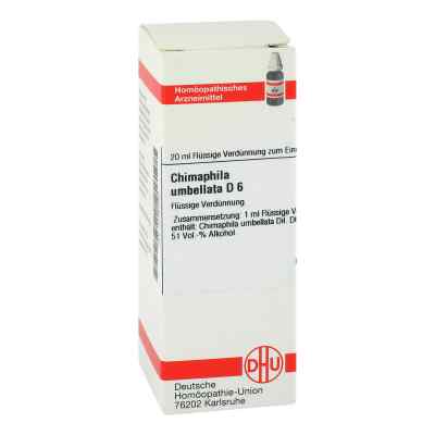 Chimaphila Umbellata D6 Dilution bei apo-discounter.de bestellen