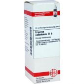 Erigeron Canadensis D6 Dilution bei apo-discounter.de bestellen