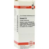 Hirudo D6 Dilution bei apo-discounter.de bestellen