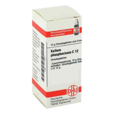 Kalium Phosphoricum C 12 Globuli bei apo-discounter.de bestellen