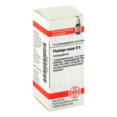 Plantago Major D 6 Globuli bei apo-discounter.de bestellen