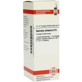 Spiraea Ulmaria D6 Dilution bei apo-discounter.de bestellen