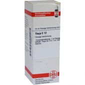 Thuja C12 Dilution bei apo-discounter.de bestellen