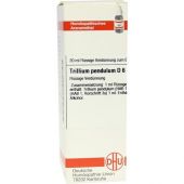 Trillium Pendulum D6 Dilution bei apo-discounter.de bestellen