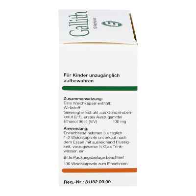 Gallith Kapseln bei apo-discounter.de bestellen