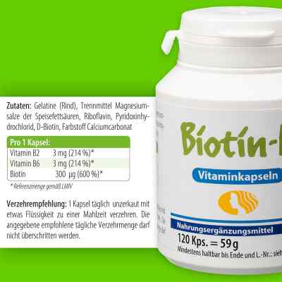 Biotin H Vitaminkapseln bei apo-discounter.de bestellen