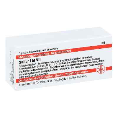 Lm Sulfur Vii Globuli bei apo-discounter.de bestellen
