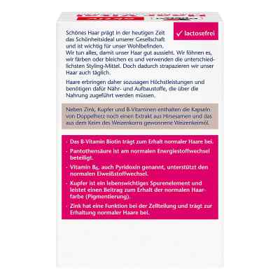 Doppelherz Haar Vital+zink+hirseextrakt Kapseln bei apo-discounter.de bestellen