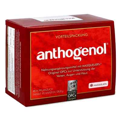 Opc Original Masqueliers Anthogenol Kapseln bei apo-discounter.de bestellen