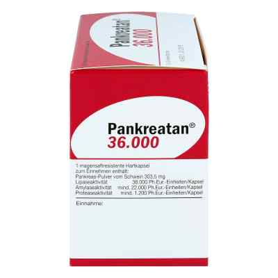 Pankreatan 36000 bei apo-discounter.de bestellen