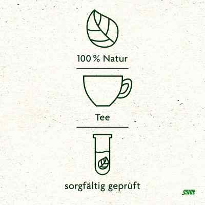 Bachblüten Tee Klarheit & Zentrierung bio Salus bei apo-discounter.de bestellen