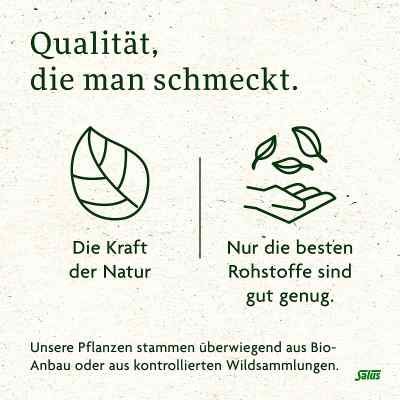 Bachblüten Tee Klarheit & Zentrierung bio Salus bei apo-discounter.de bestellen