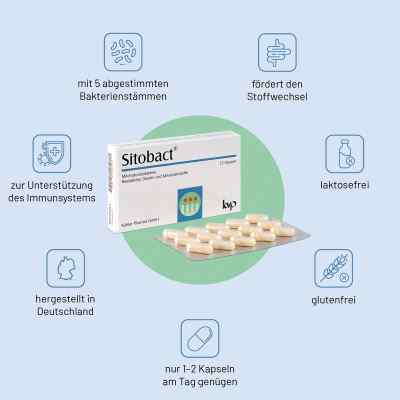 Sitobact Kapseln bei apo-discounter.de bestellen
