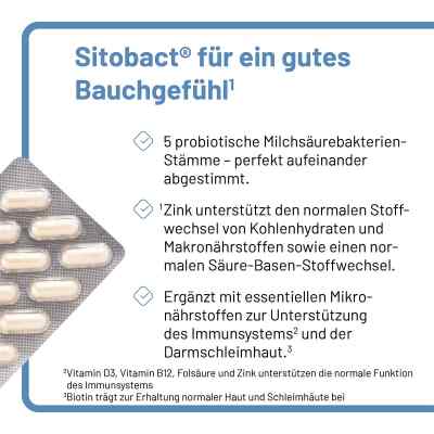 Sitobact Kapseln bei apo-discounter.de bestellen