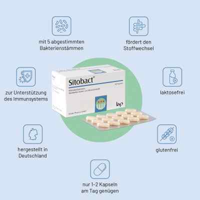 Sitobact Kapseln bei apo-discounter.de bestellen
