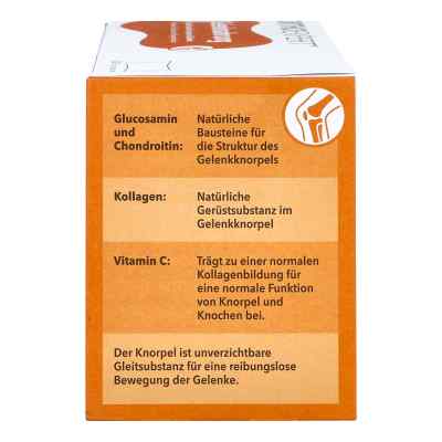 Gelenk Nahrung Orthoexpert Pulver bei apo-discounter.de bestellen