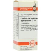 Calcium Carbonicum D 20 Globuli Hahnemanni bei apo-discounter.de bestellen