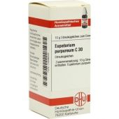Eupatorium Purpureum C 30 Globuli bei apo-discounter.de bestellen