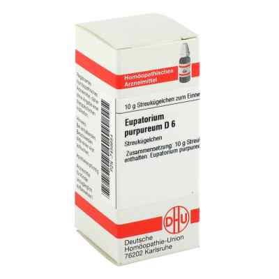 Eupatorium Purpureum D 6 Globuli bei apo-discounter.de bestellen
