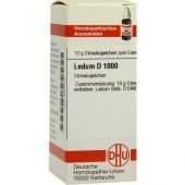 Ledum D 1000 Globuli bei apo-discounter.de bestellen