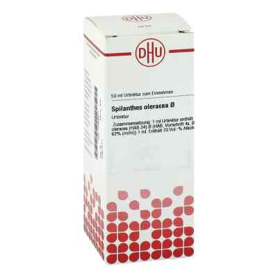 Spilanthes Oleracea Urtinktur = D1 bei apo-discounter.de bestellen