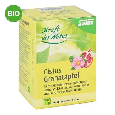 Cistus Granatapfel Tee Kraft der Natur Beutel salus bei apo-discounter.de bestellen