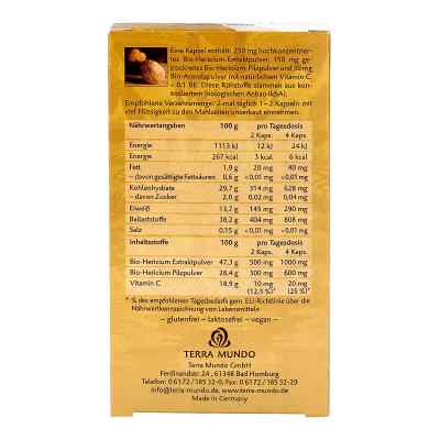 Hericium Vitalpilz Bio Terra Mundo Kapseln bei apo-discounter.de bestellen